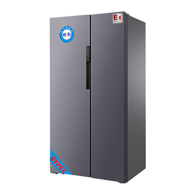 对开门冰箱BL-200SM600L